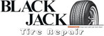 Blackjack Chrome T Handle with Spiral Probe BLJPRB